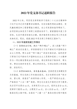 2022年党支部书记述职报告(1)