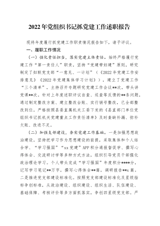 2022年党组织书记抓党建工作述职报告