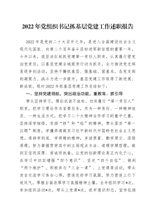 2022年党组织书记抓基层党建工作述职报告