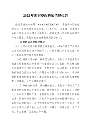 2022年巡察整改进展情况报告