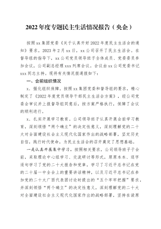 2022年度专题民主生活情况报告央企