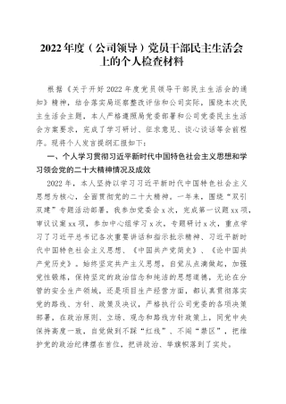 2022年度公司领导党员干部民主生活会上的个人检查材料