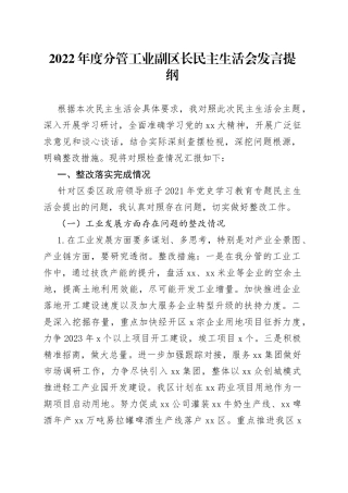 2022年度分管工业副区长民主生活会发言提纲