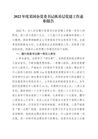 2022年度某国企党委书记抓基层党建工作述职报告