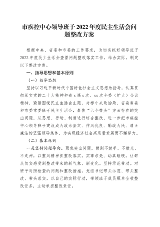 2022年度民主生活会问题整改方案