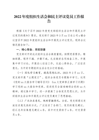 2022年度组织生活会和民主评议党员工作报告