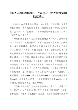 2022年度经验材料：“党建+”激活村级党组织原动力
