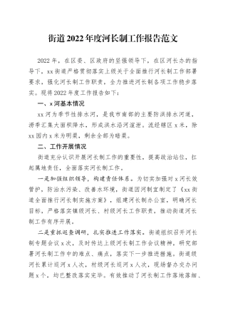 2022年河长制工作报告总结汇报
