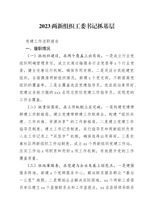 2023两新组织工委书记抓基层党建工作述职报告