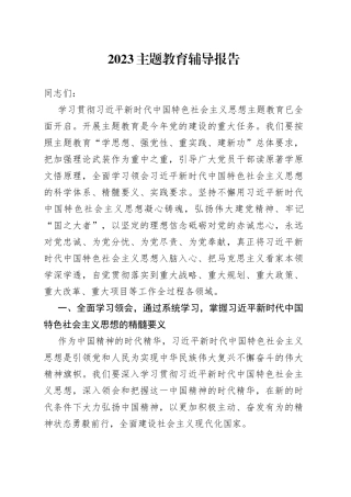 2023主题教育辅导报告