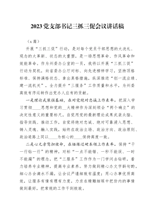 2023党支部书记三抓三促会议讲话3篇