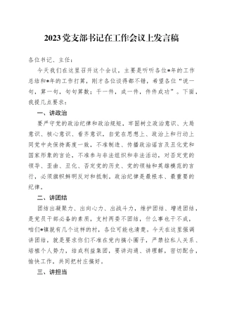 2023党支部书记在工作会议上发言稿
