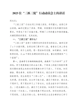 2023在“三抓三促”行动动员会上的讲话