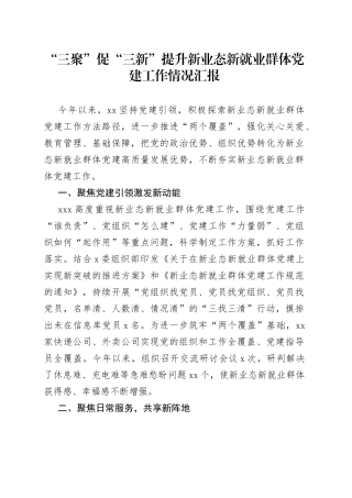“三聚”促“三新”提升新业态新就业群体党建工作情况汇报