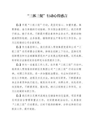 “三抓三促”行动心得感言