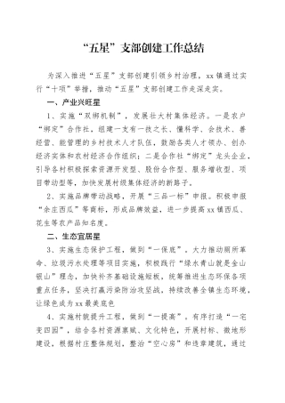 “五星”支部创建工作总结
