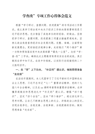 “学查改”专项工作心得体会范文（研讨发言材料参考）（22050101）