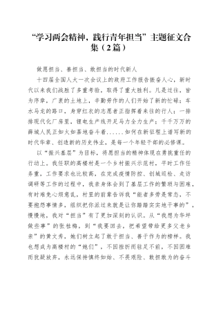 “学习两会精神，践行青年担当”主题征文合集（2篇）