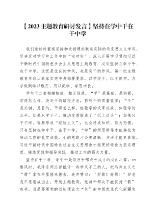 【2023主题教育研讨发言】坚持在学中干在干中学