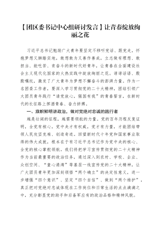 【团区委书记中心组研讨发言】让青春绽放绚丽之花