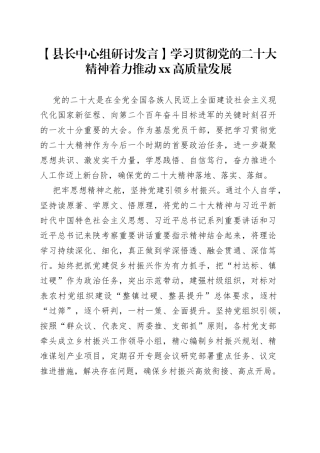 【县长中心组研讨发言】学习贯彻党的二十大精神 着力推动XX高质量发展
