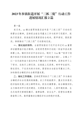 2篇2023年乡镇街道开展“三抓三促”行动工作进展情况汇报