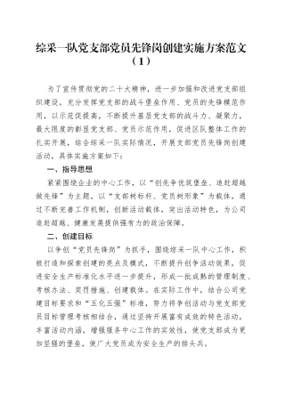 2篇党支部党员先锋岗创建活动实施方案集团公司企业工作