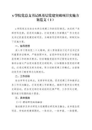 2篇高校书记抓基层党建突破项目实施方案大学学院