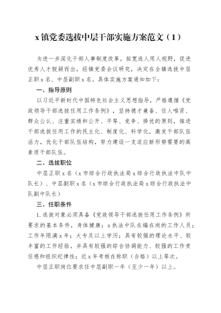 3篇中层干部选拔任用工作实施方案乡镇局大学高校