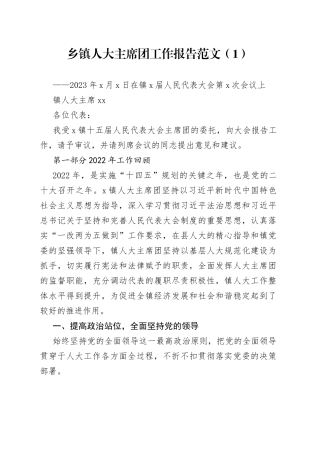 6篇2023年人大工作报告人民代表大会乡镇县级