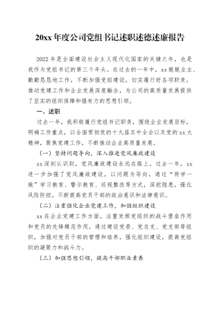 20XX年度公司党组书记述职述德述廉报告