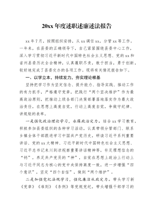 20XX年度述职述廉述法报告