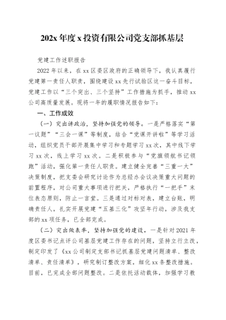 202X年度XX投资有限公司党支部抓基层党建工作述职报告
