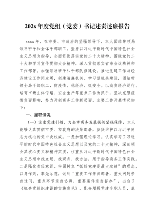 202X年度党组（党委）书记述责述廉报告
