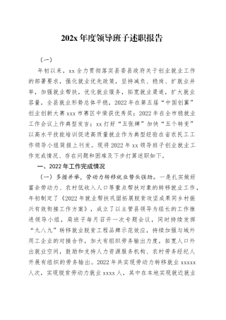 202X年度领导班子述职报告（一）