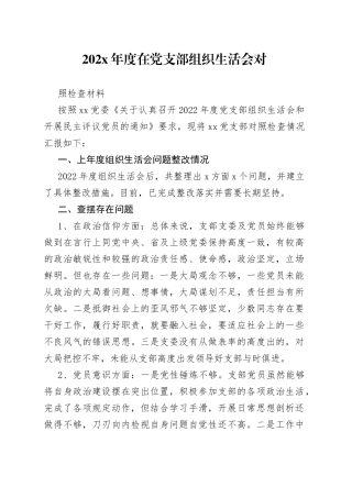 202X年度在党支部组织生活会对照检查材料