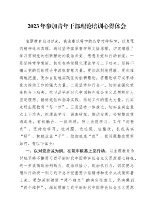 2023年参加青年干部理论培训心得体会