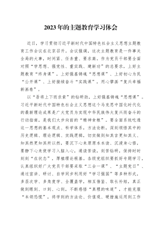 2023年的主题教育学习体会