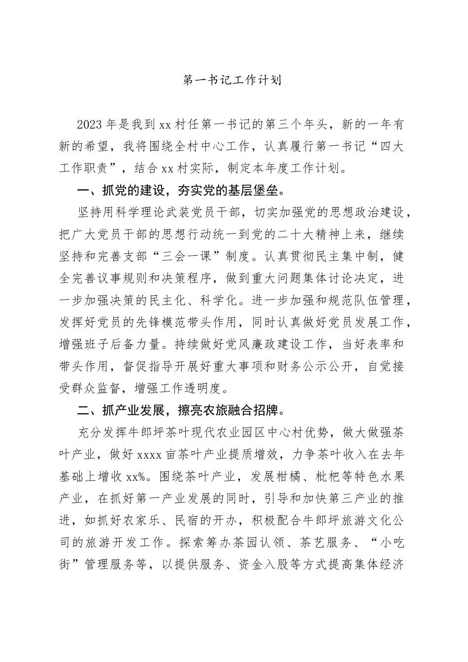 2023年第一书记工作计划_第1页