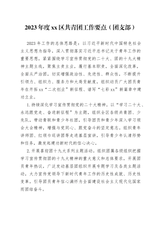 2023年度xx区共青团工作要点（团支部）