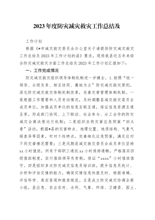 2023年度防灾减灾救灾工作总结及工作计划