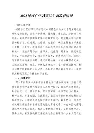 2023年度在学习贯彻主题教育检视问题工作方案