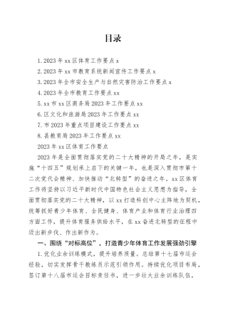 2023年工作要点合集