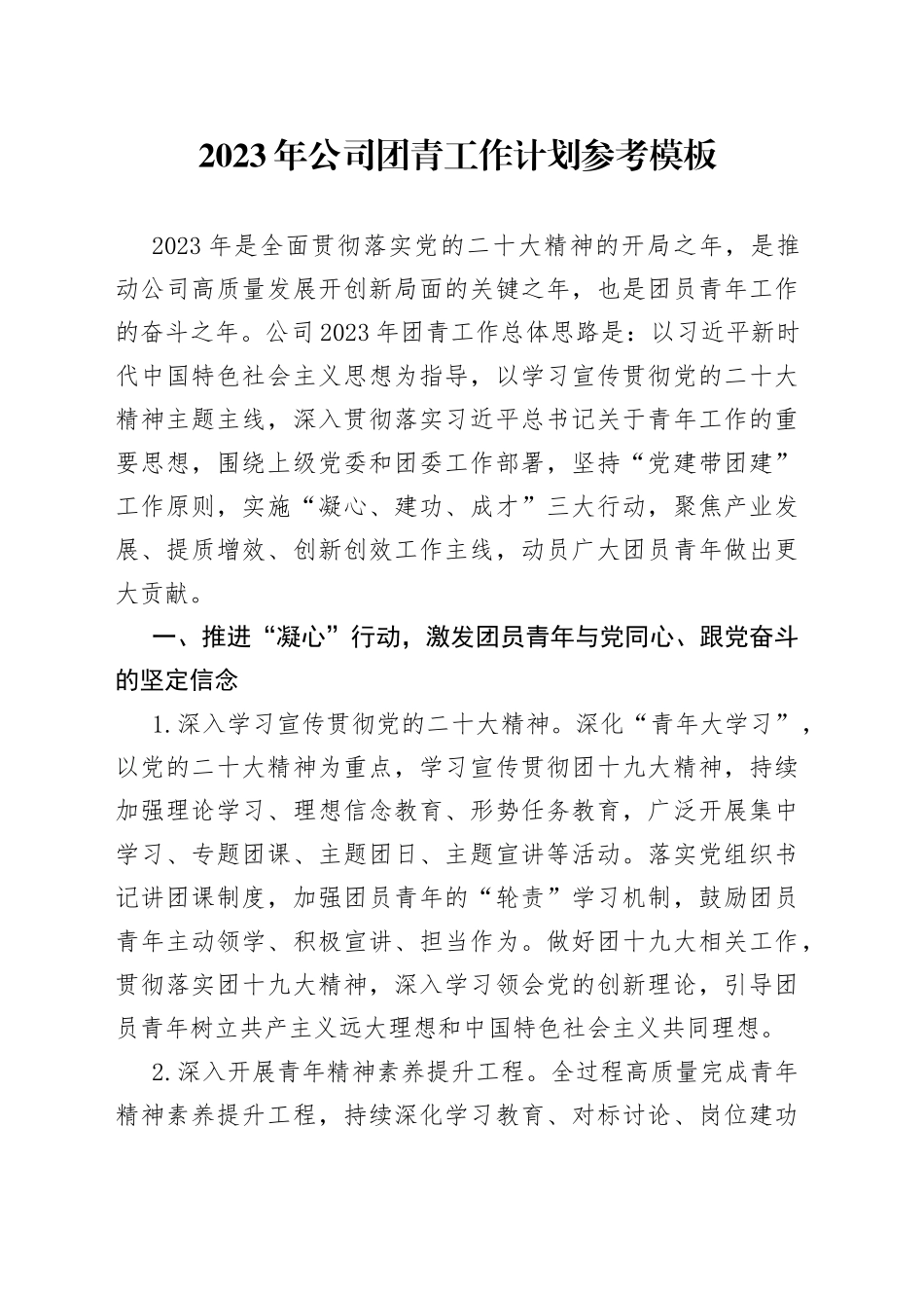 2023年公司团青工作计划_第1页