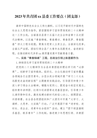2023年共青团xx县委工作要点（团支部）