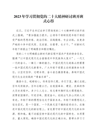 2023年贯彻党的二十大精神研讨班学习心得合集