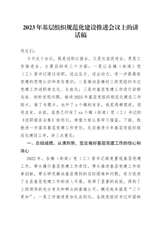 2023年基层组织规范化建设推进会议上的讲话稿