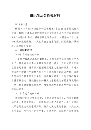 2023年集团公司第一支部组织生活会检视材料