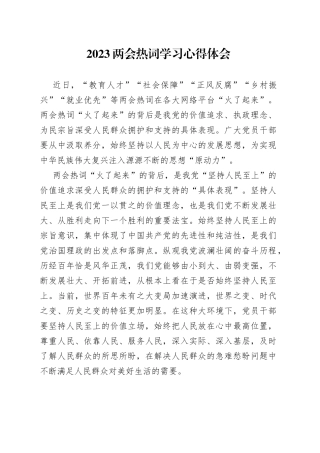 2023年两会热词学习心得体会