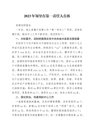 2023年领导在第一责任人在抓党建述职报告